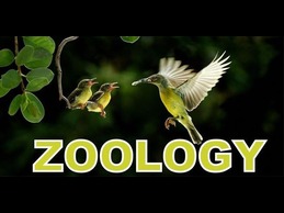 Zoology